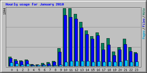 Hourly usage for January 2010